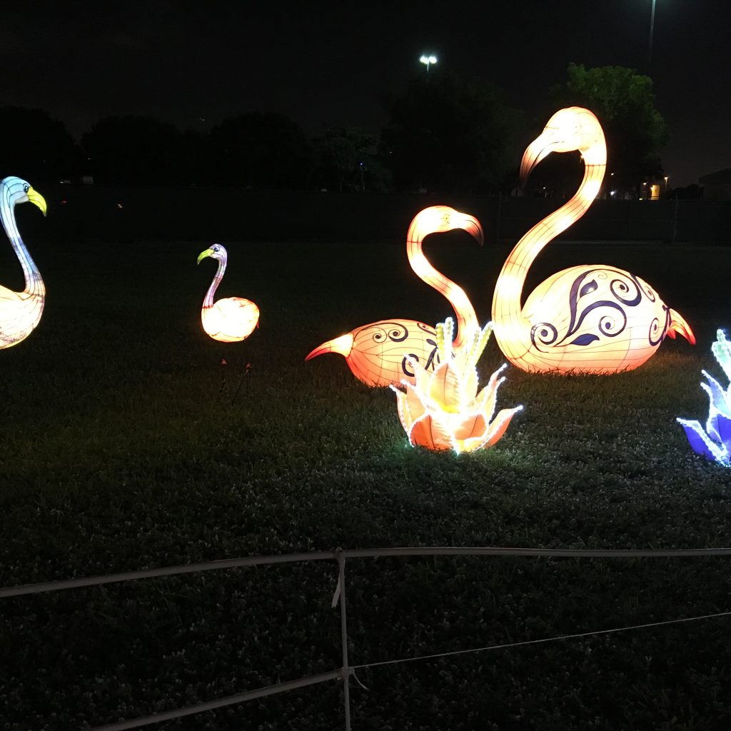 Lantern Light Festival Miami (Over 200 Photos) Photo